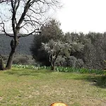La Figalie Prázdninový dům Saint Jean du Pin