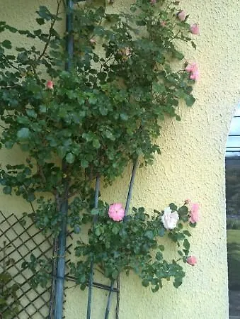 La Figalie Holiday home *