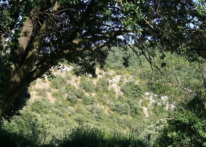 Сasa de vacaciones La Figalie Saint Jean du Pin